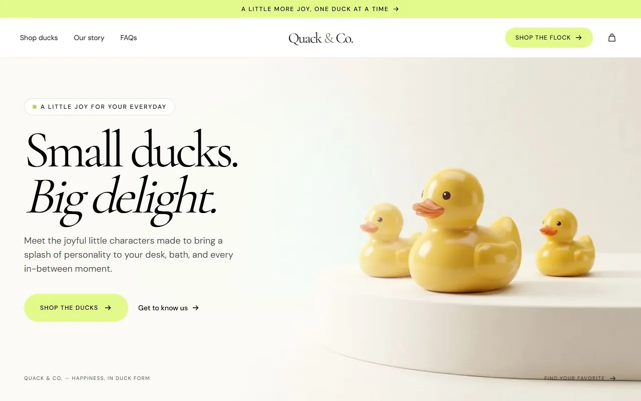 Preview of Quack & Co.